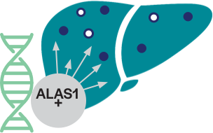 Chart depicting mechanism of action for GIVLAARI® (givosiran)