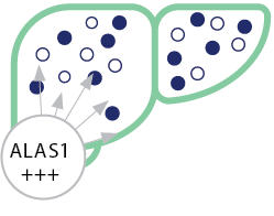Icon showing induced ALAS1