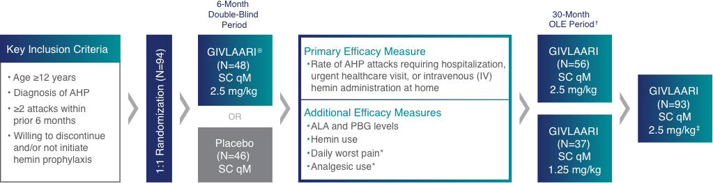 Chart depicting the ENVISION study design