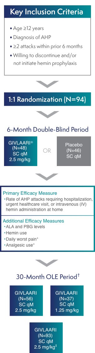 Chart depicting the ENVISION study design